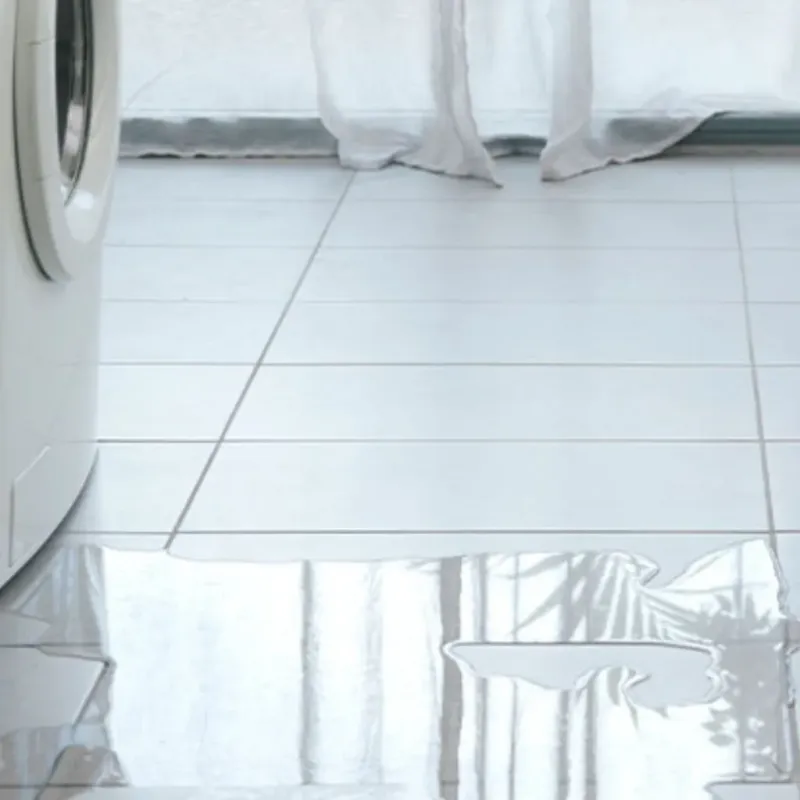 Appliance Leak Cleanup in Cordova, AL