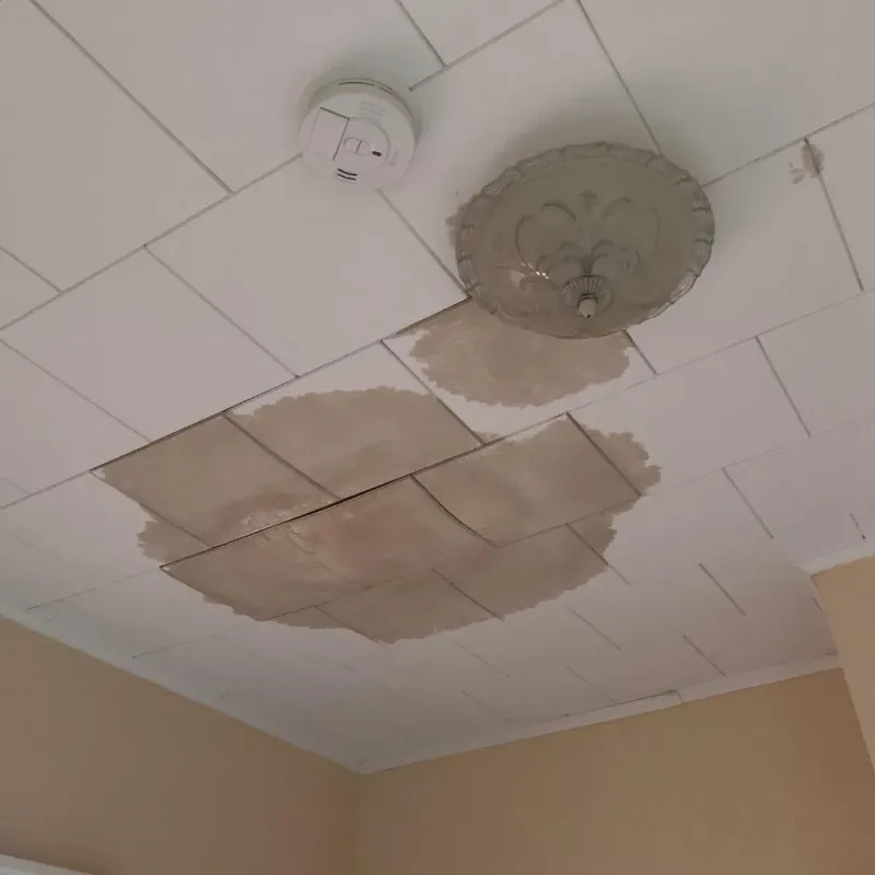 Ceiling Water Damage Repair in Cordova, AL